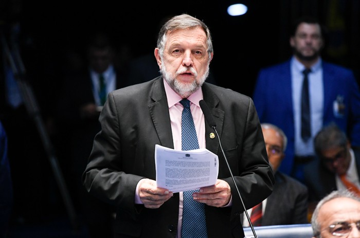 Cruz Machado, no Paraná, é aprovada como a capital da erva-mate sombreada