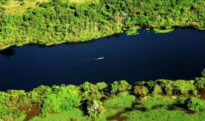 Grupo parlamentar quer reforçar agenda em defesa da Amazônia