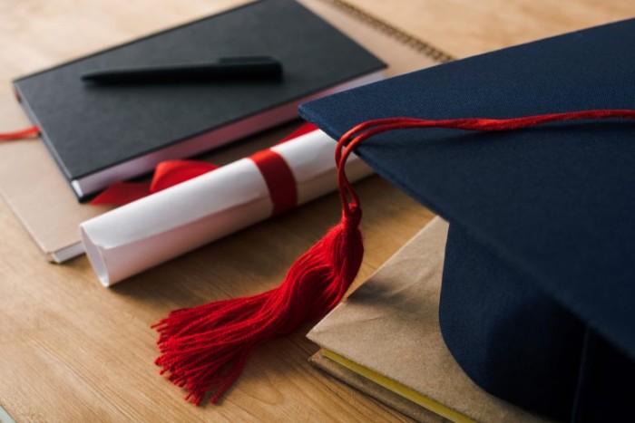 Comissão de Educação debate financiamento da extensão universitária