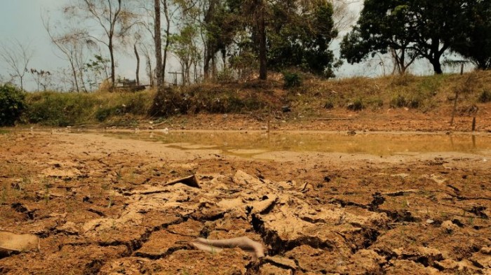 Comissão debate sociobioeconomia, desafios do equilíbrio climático e produção de alimentos saudáveis