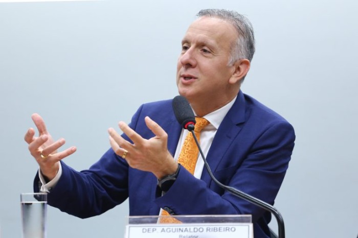 Fundo de Desenvolvimento Regional terá aportes exclusivos da União, explica relator; acompanhe
