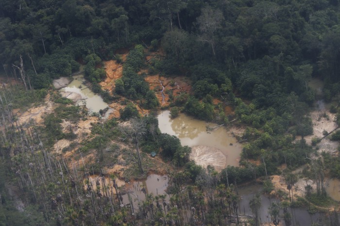 Garimpo ilegal devasta área de 118 hectares em Rondônia e no Amazonas