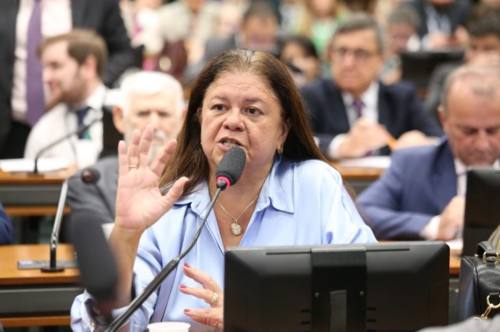 CCJ aprova criação de sistema com informações sobre investimentos na primeira infância