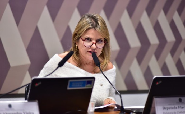 Relatora altera a MP de retomada de obras em escolas e comissão adia a votação