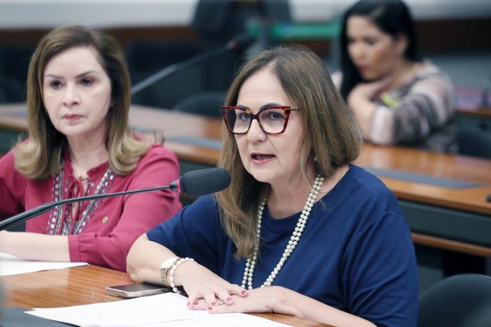 Comissão aprova proposta que cria programa de incentivo para retorno das mães ao trabalho