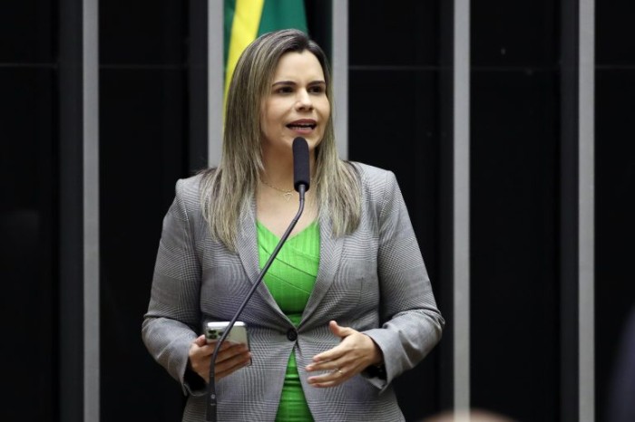 Comissão aprova política e campanha nacionais sobre depressão pós-parto