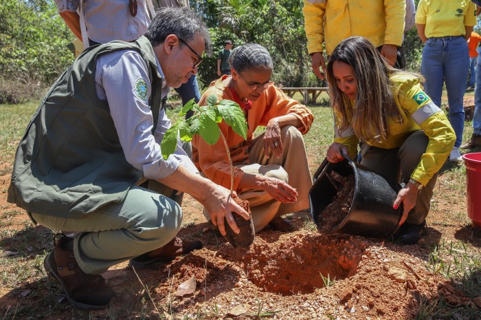 MMA quer evitar licença ambiental de longo prazo no Cerrado