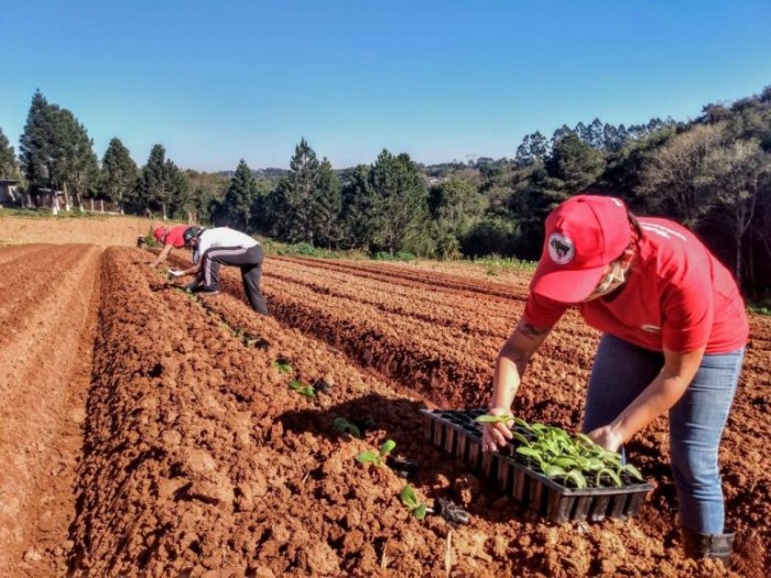 Projeto abre crédito no Orçamento de 2023 para assentados da reforma agrária