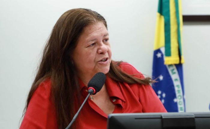 Comissão proíbe compra de armas de fogo por quem responde a processo de violência contra a mulher