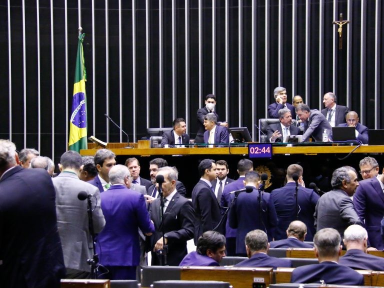 Câmara aprova projeto que facilita corte ou poda de árvore quando houver risco de acidente; acompanhe