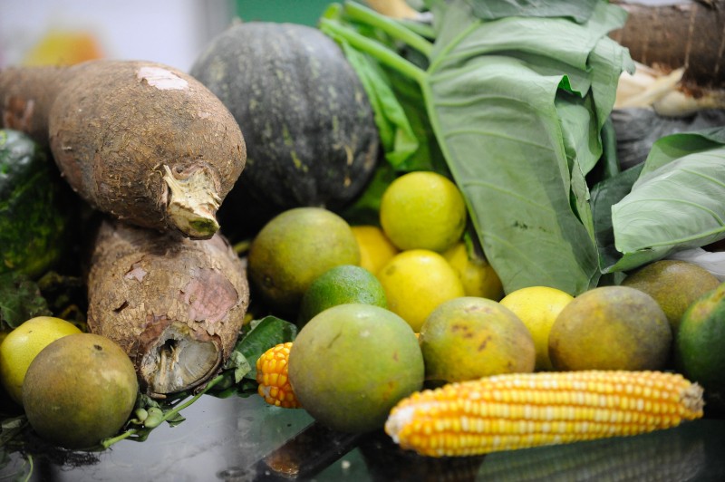 Mata Atlântica produz 50% dos alimentos consumidos no país, diz estudo