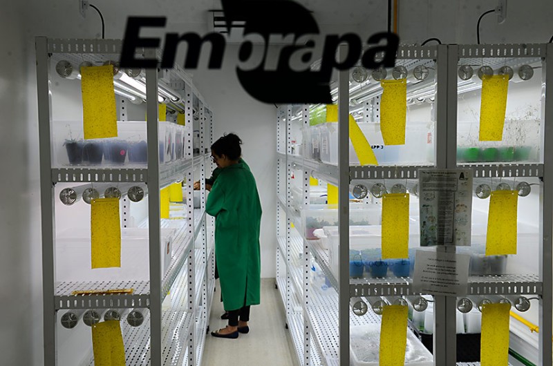 Publicada lei que amplia fonte de recursos para a Embrapa