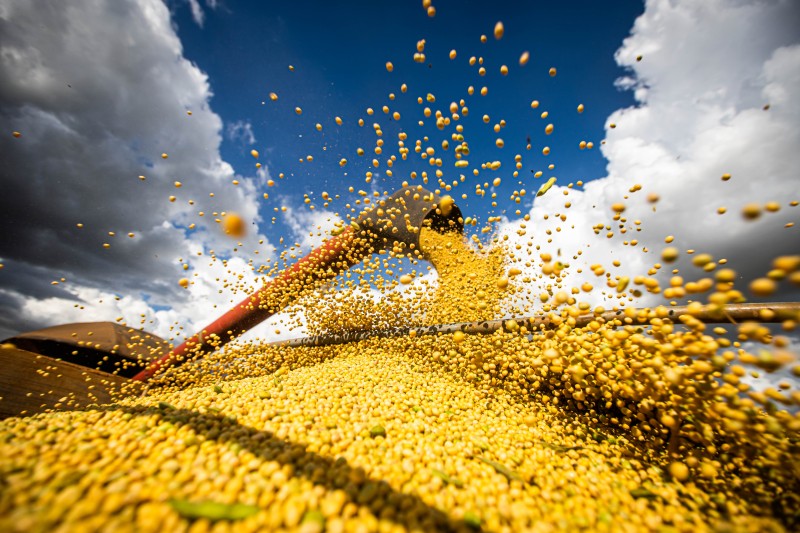 Agronegócio prevê alta dos custos de produção no próximo ano